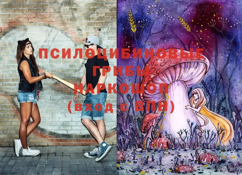 Псилоцибиновые грибы Magic Shrooms Шадринск